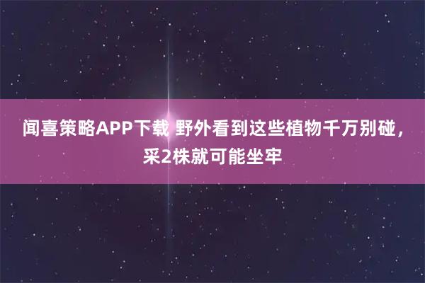 闻喜策略APP下载 野外看到这些植物千万别碰，采2株就可能坐牢