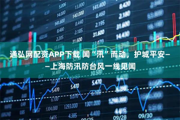 通弘网配资APP下载 闻“汛”而动，护城平安——上海防汛防台风一线见闻